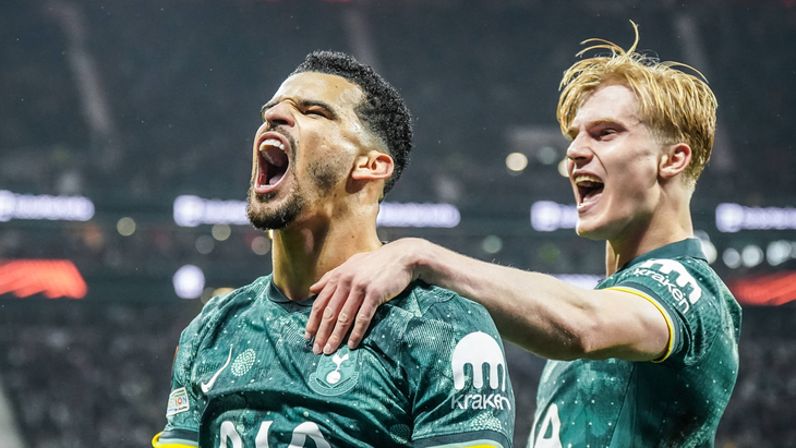 Доминик Соланке