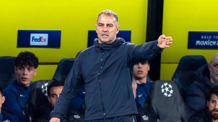 Ханс-Дитер Флик