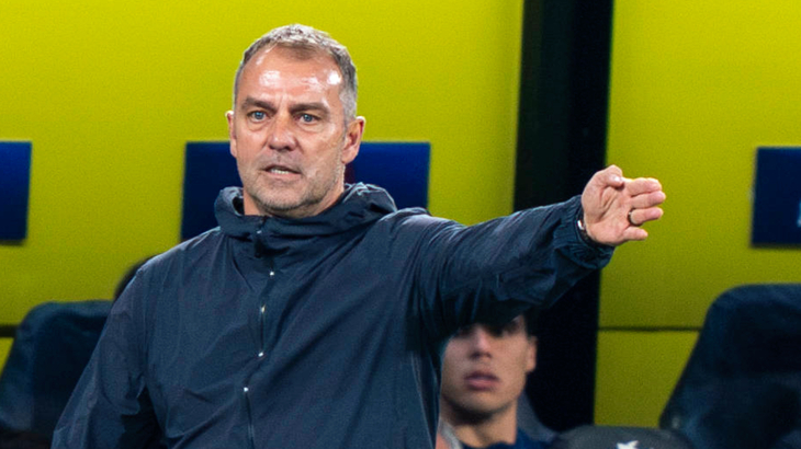 Ханс-Дитер Флик