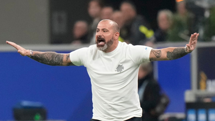 Деян Станкович — новый тренер сербов