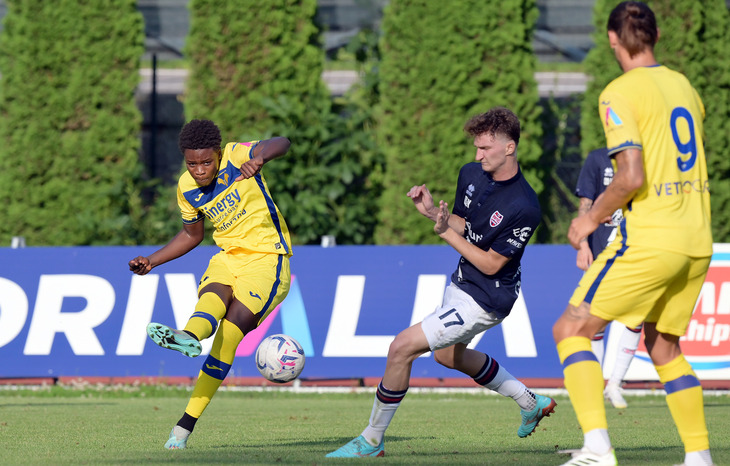 Альфаджо Сиссе