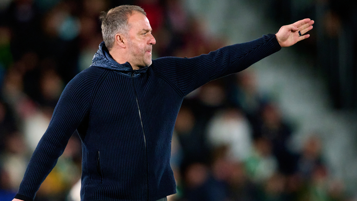 Ханс-Дитер Флик