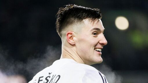 Беньямин Шешко