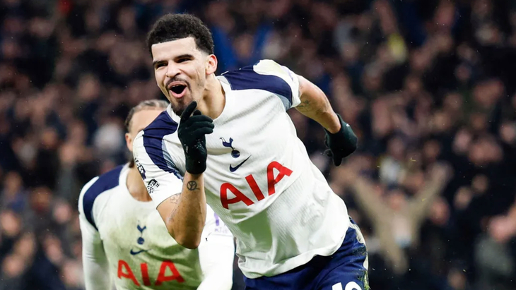 Доминик Соланке