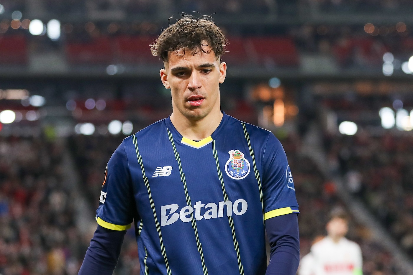 Габри Вейга