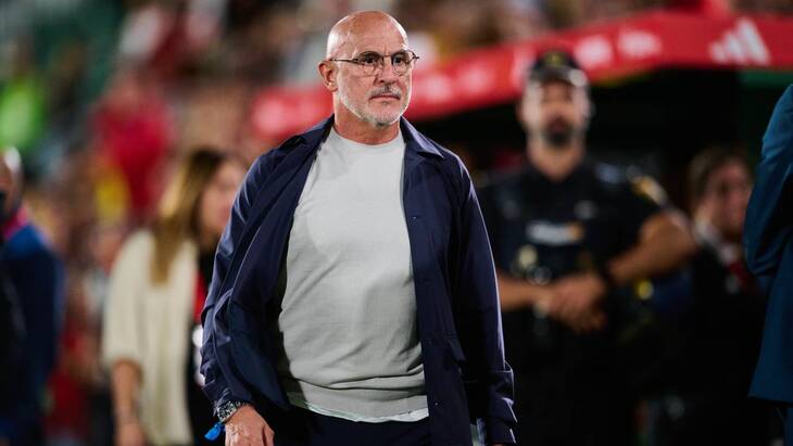 Луис де ла Фуэнте — тренер Испании