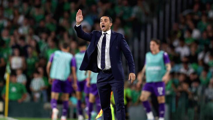 Раффаэлле Палладино