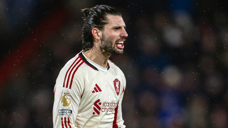 Доминик Собослаи