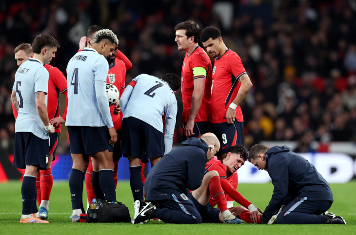 Фоден на газоне