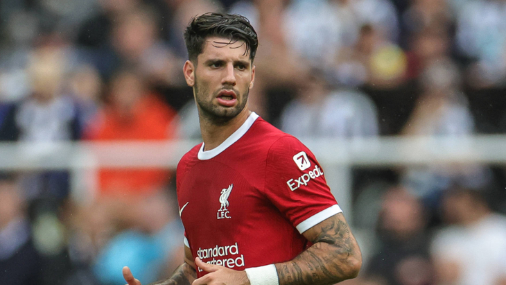 Доминик Собослаи