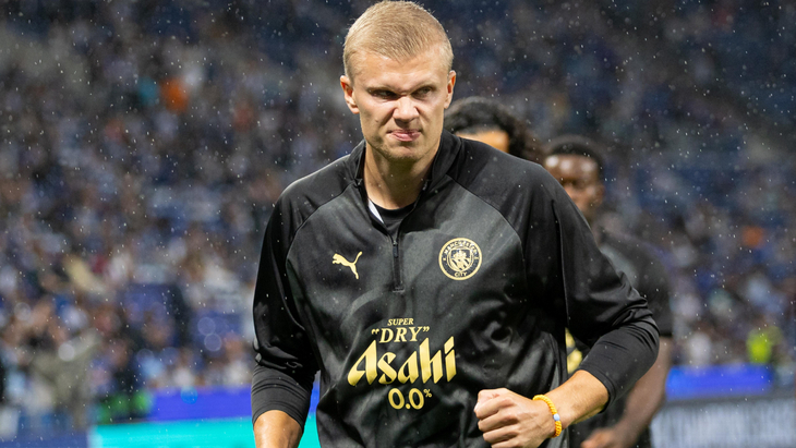 Эрлинг Холанн