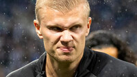 Эрлинг Холанн