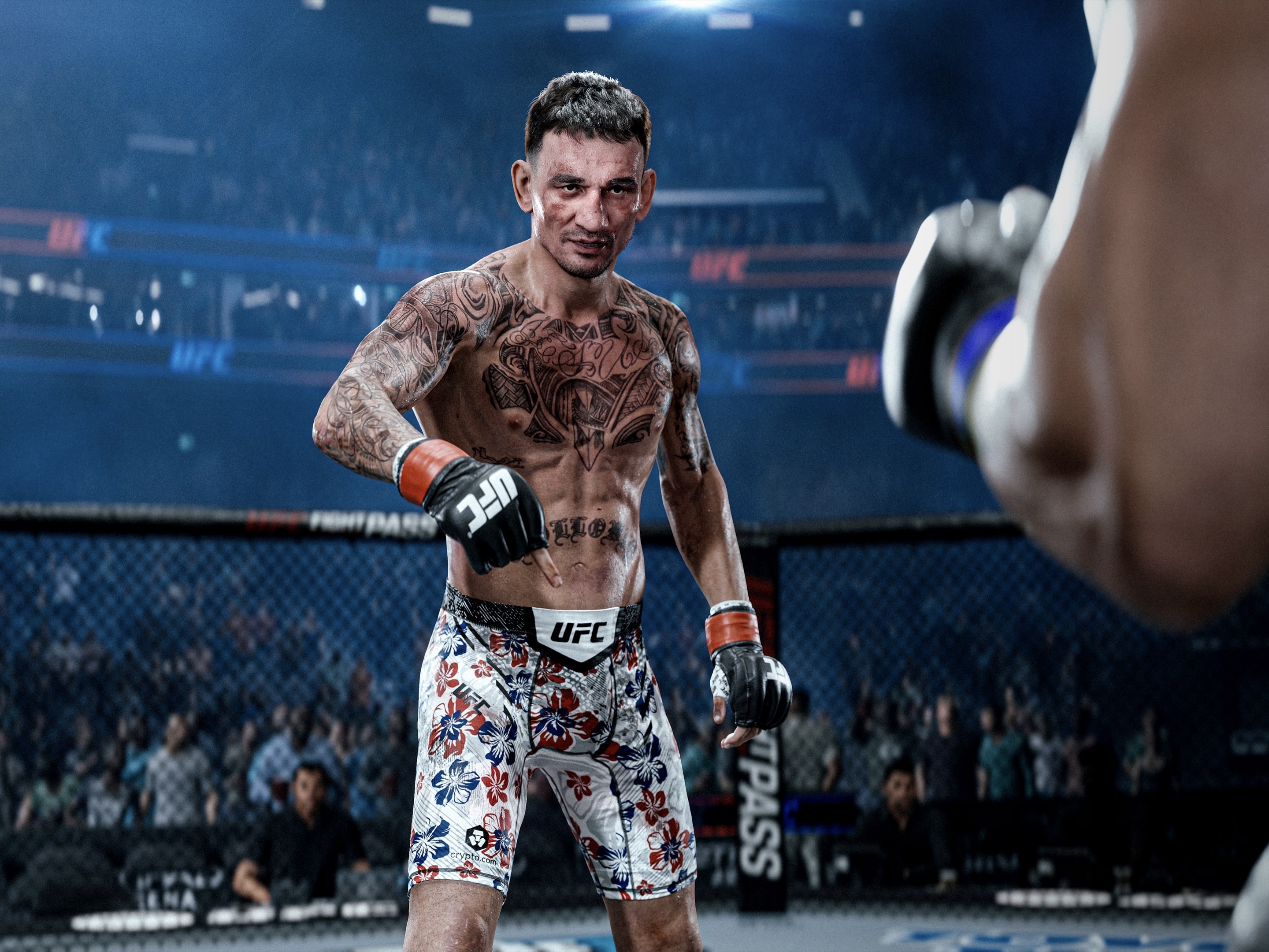 UFC 6