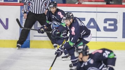 «Медвешчак» набрал впечатляющий ход