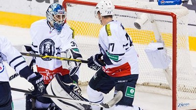 Хоккеисты «Медвешчака»