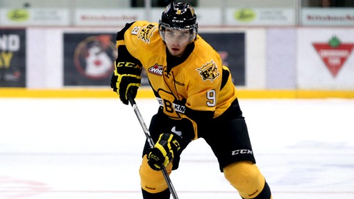 Иван Проворов