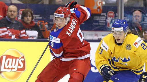 Владислав Каменев