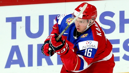 Владислав Каменев