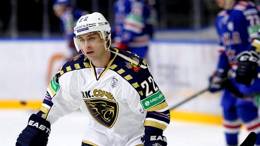 Михаил Анисин