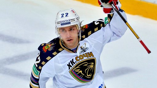 Михаил Анисин