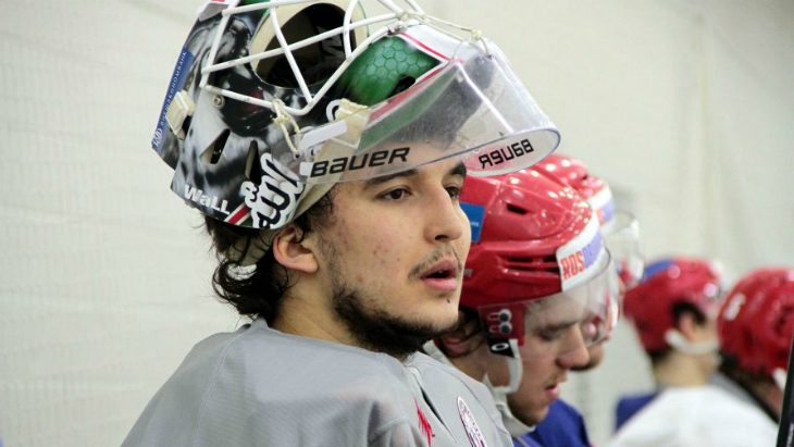 Эмиль Гарипов