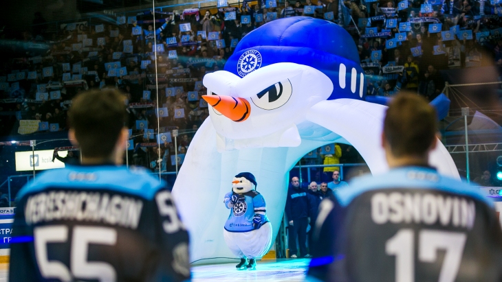 Ледовая арена в Новосибирске обойдется в 10 миллиардов рублей