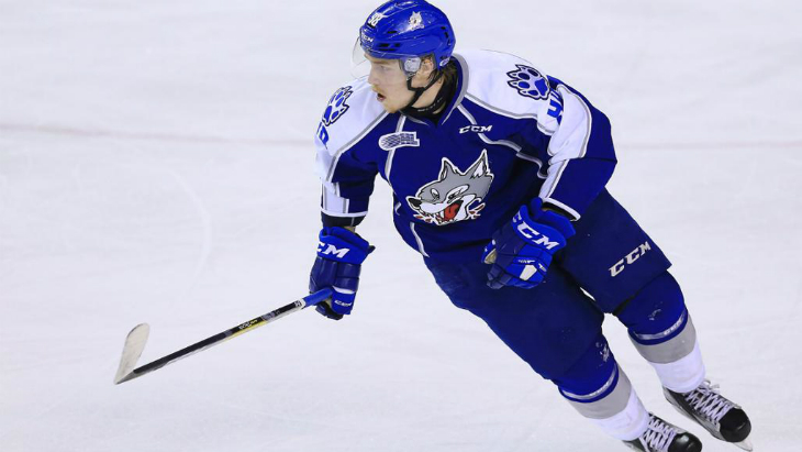 Дмитрий Соколов