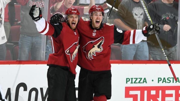 Хоккеисты «Аризоны»