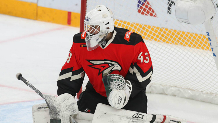 Эмиль Гарипов