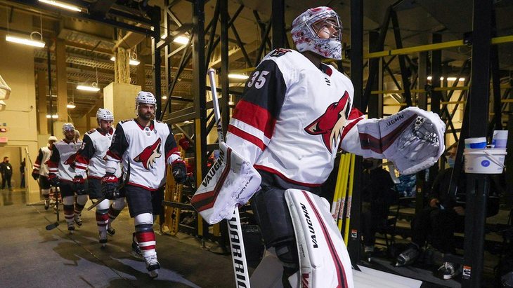 Хоккеисты «Аризоны»