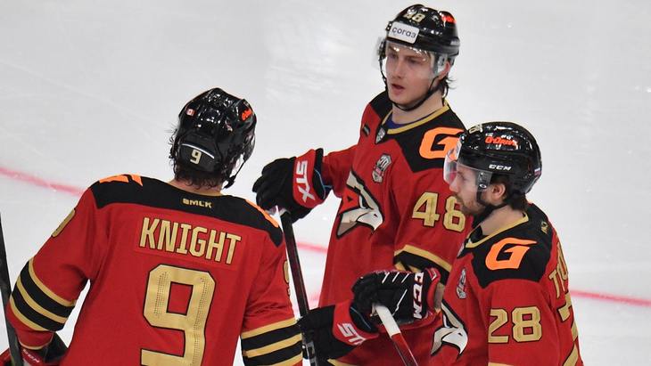 Хоккеисты «Авангарда»