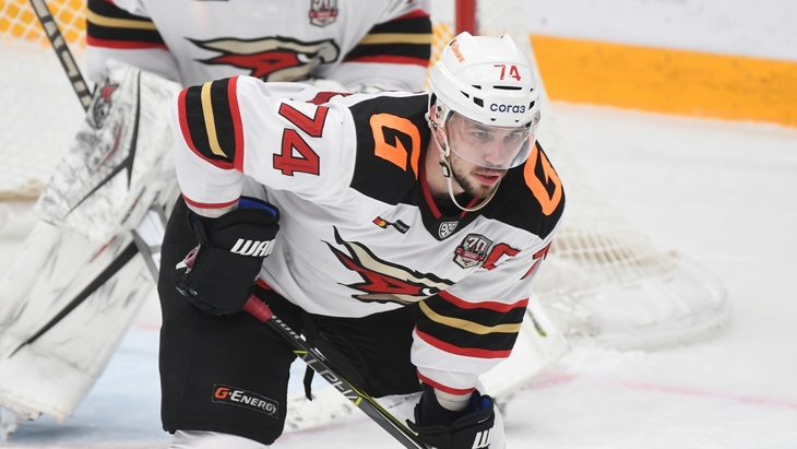 Алексей Емелин