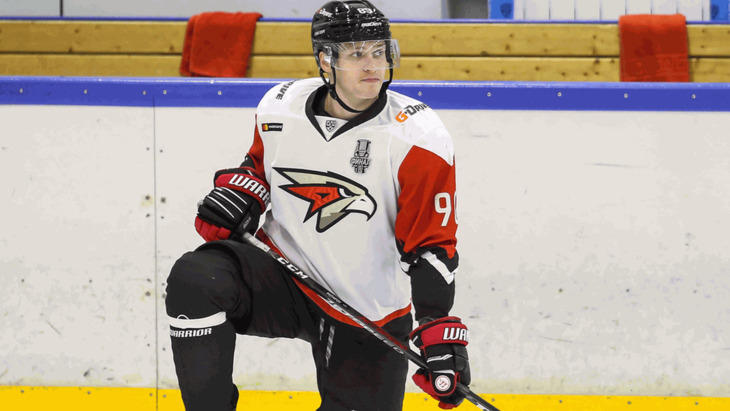 Алексей Потапов