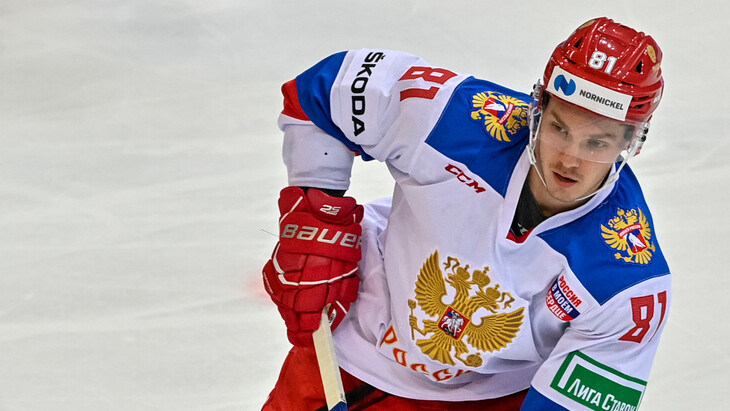 Владислав Каменев