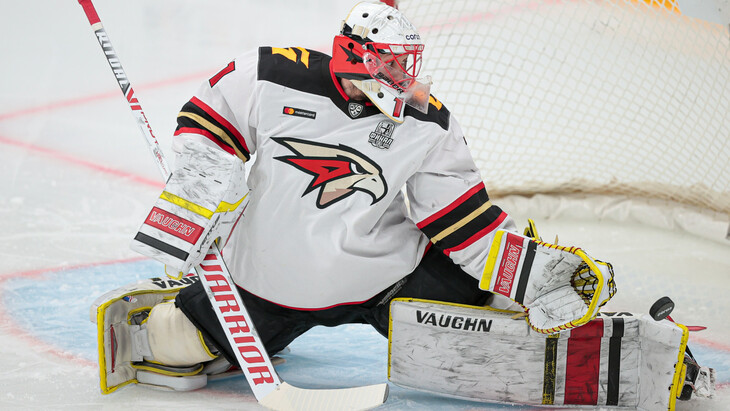 «Авангард»