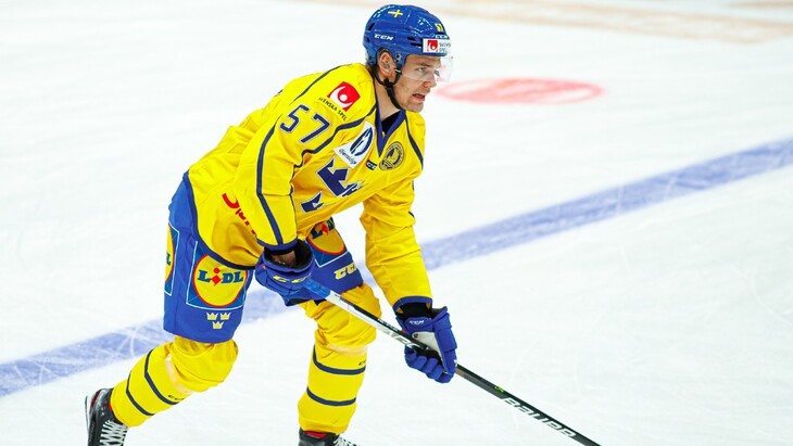 Антон Ведин