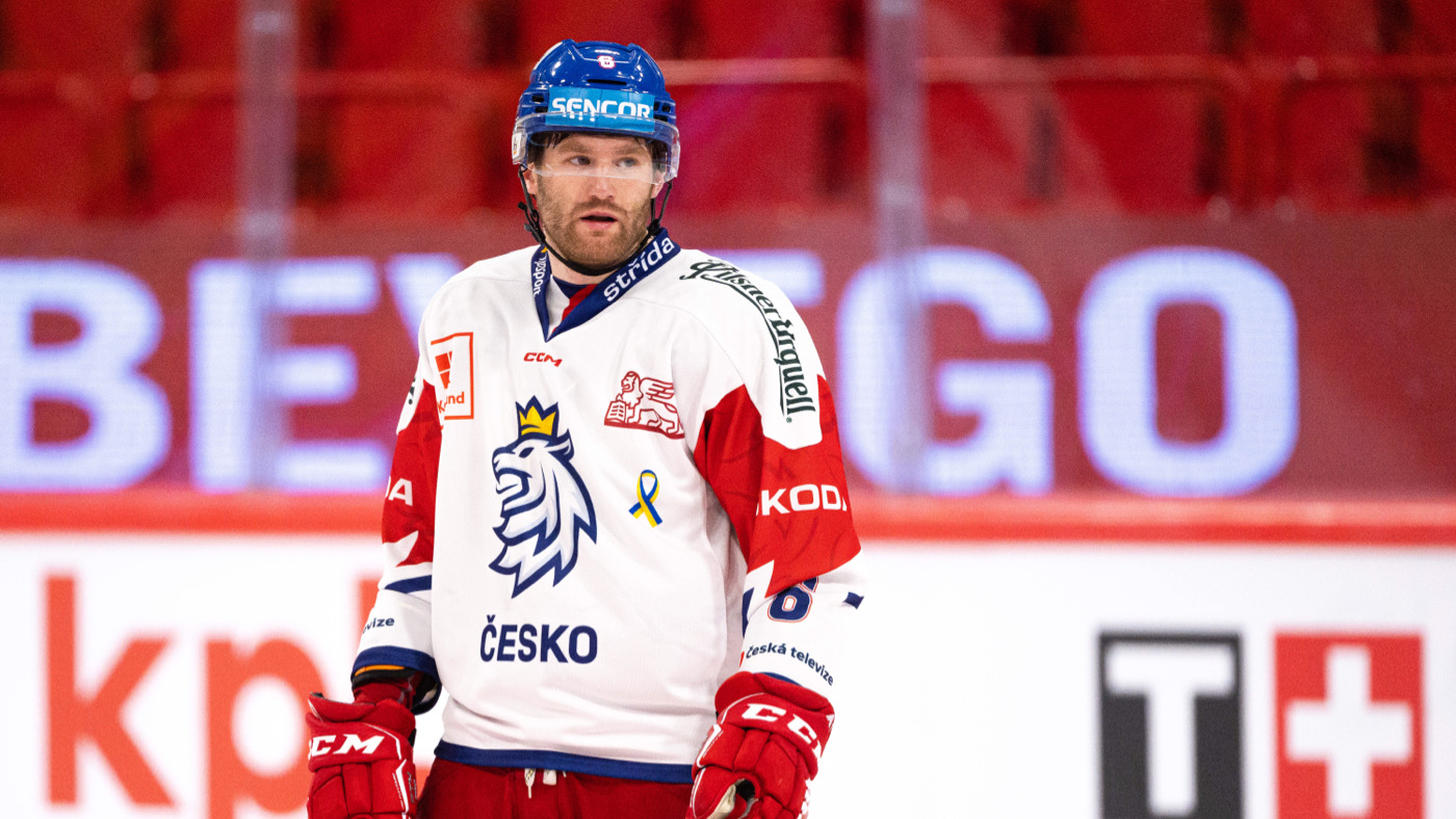 Давид Мусил