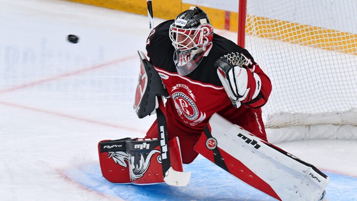 Вратарь «Витязя»