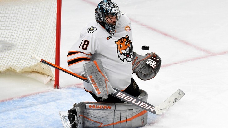 Евгений Аликин