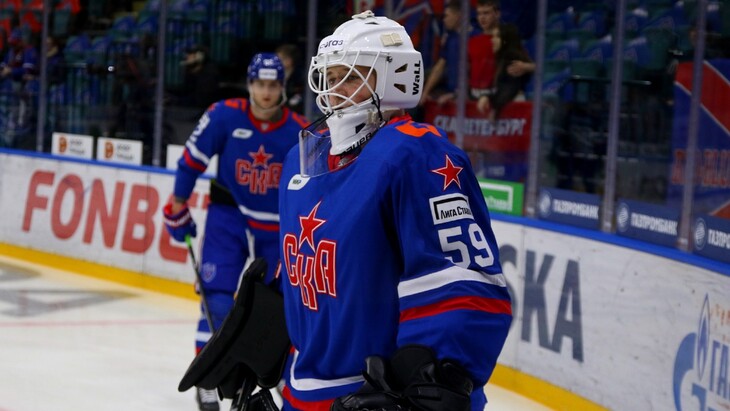 Владислав Подъяпольский