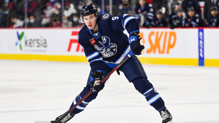 Леон Гаванке