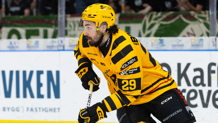 Дилан Сикура