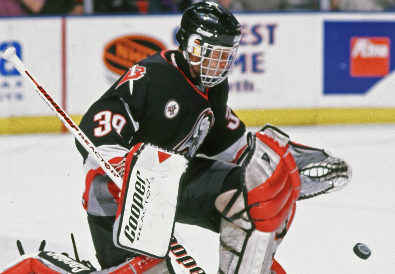 Доминик Гашек