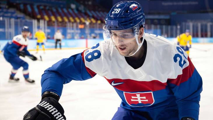 Рихард Паник