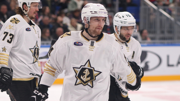 Аркадий Шестаков