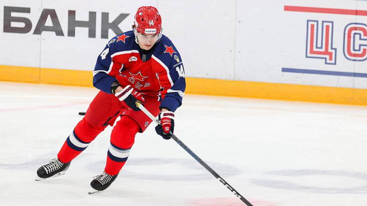 Николай Седов