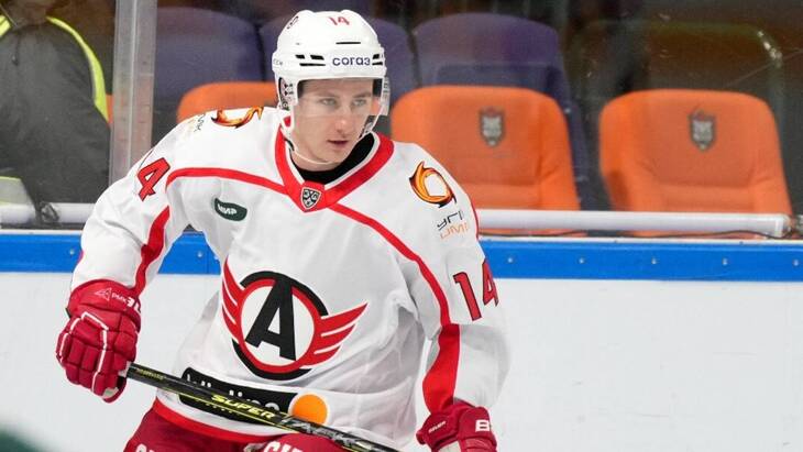 Кертис Волк