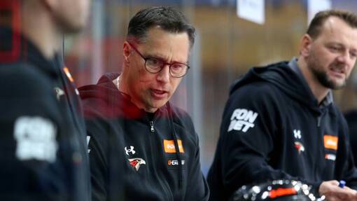 Авангард — Динамо. Прогноз и ставка на матч Прогноз на матч Авангард — Динамо