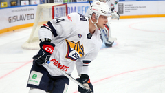 Дмитрий Силантьев