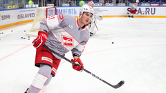 Адам Ружичка